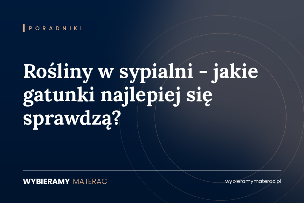 Rośliny w sypialni – jakie gatunki najlepiej się sprawdzą?